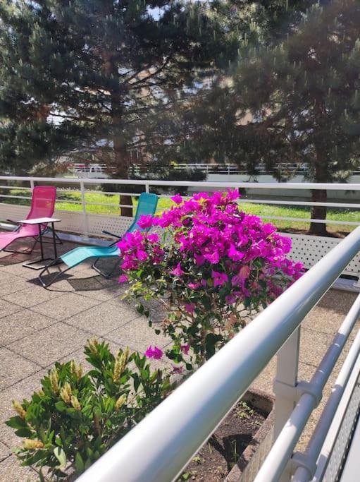 Comme Chez Vous Apartment Strasbourg Luaran gambar